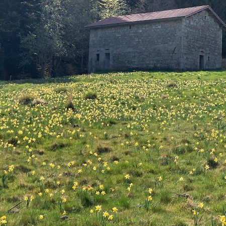 Gite " Oree Des Bois" Vertolaye Buitenkant foto