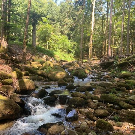 Gite " Oree Des Bois" Vertolaye Buitenkant foto