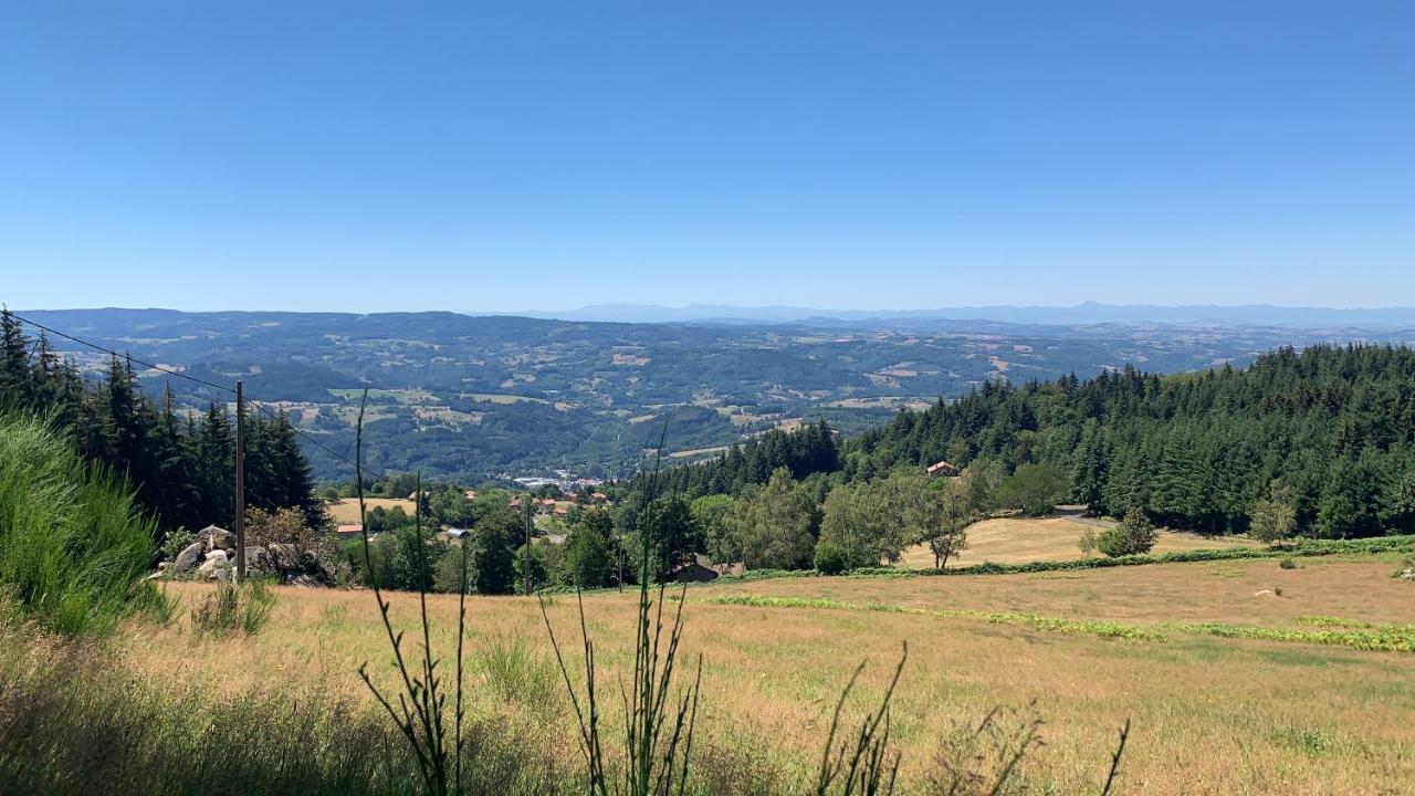 Gite " Oree Des Bois" Vertolaye Buitenkant foto