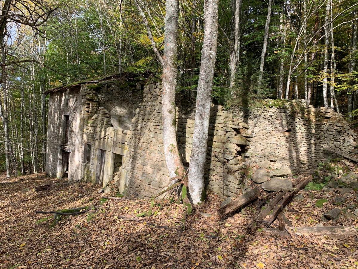 Gite " Oree Des Bois" Vertolaye Buitenkant foto