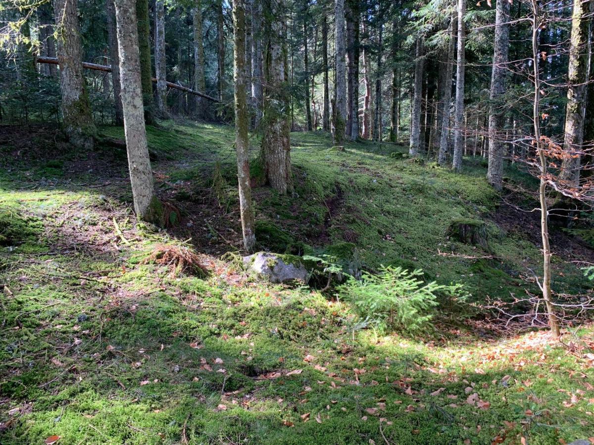 Gite " Oree Des Bois" Vertolaye Buitenkant foto