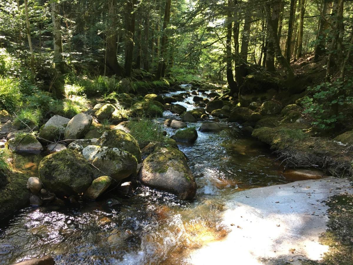 Gite " Oree Des Bois" Vertolaye Buitenkant foto