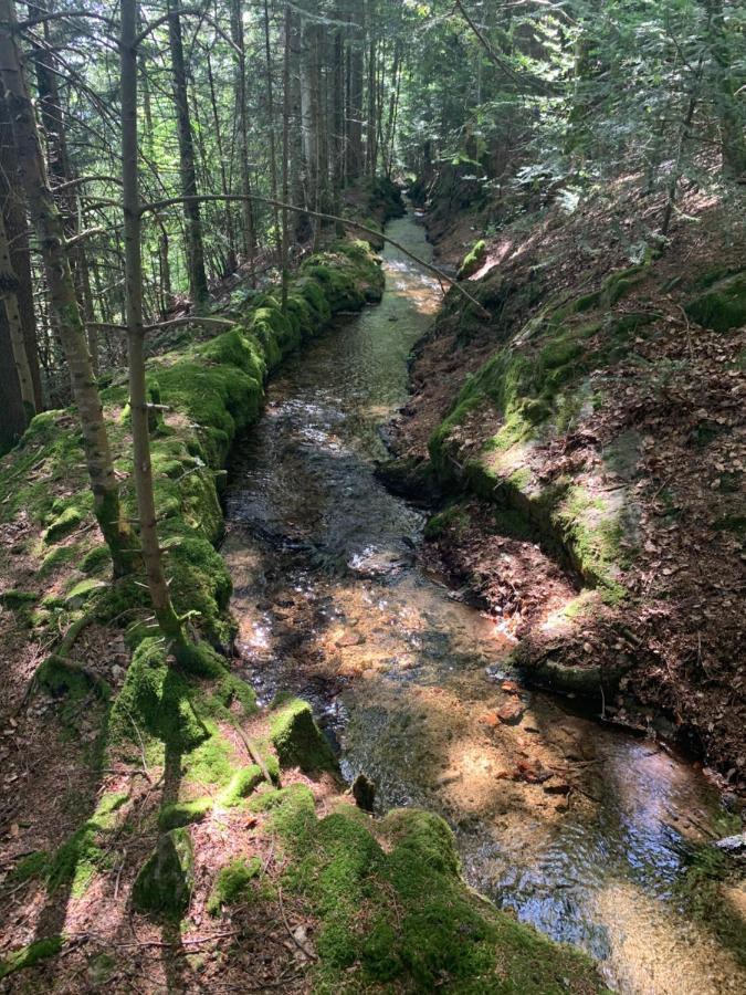 Gite " Oree Des Bois" Vertolaye Buitenkant foto