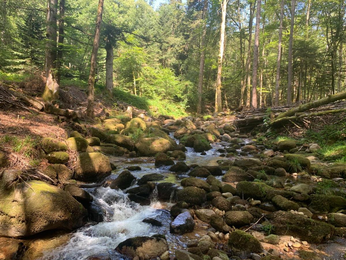 Gite " Oree Des Bois" Vertolaye Buitenkant foto