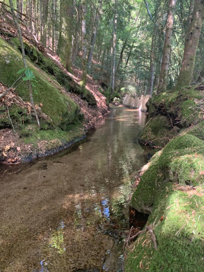 Gite " Oree Des Bois" Vertolaye Buitenkant foto
