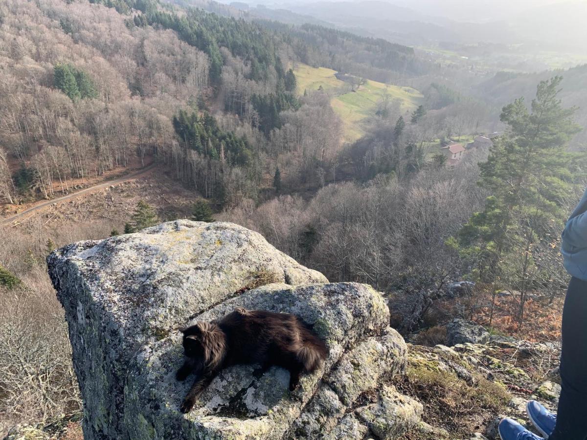 Gite " Oree Des Bois" Vertolaye Buitenkant foto