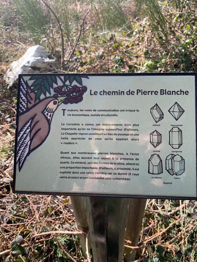 Gite " Oree Des Bois" Vertolaye Buitenkant foto