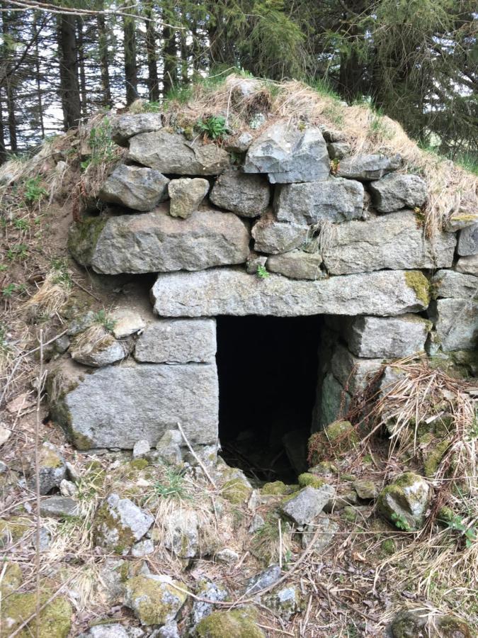 Gite " Oree Des Bois" Vertolaye Buitenkant foto
