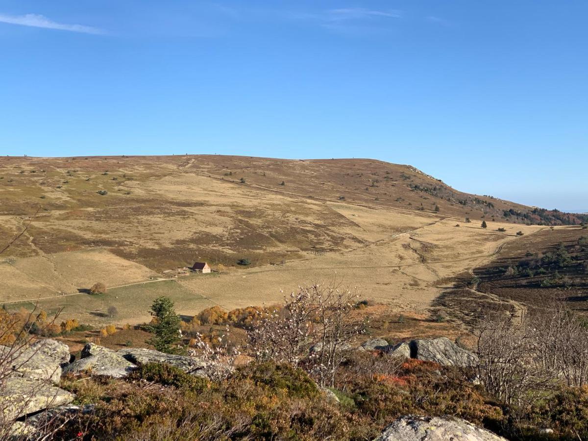 Gite " Oree Des Bois" Vertolaye Buitenkant foto