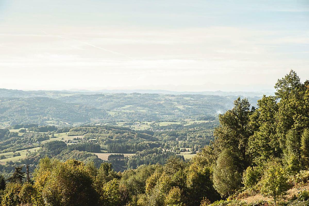 Gite " Oree Des Bois" Vertolaye Buitenkant foto