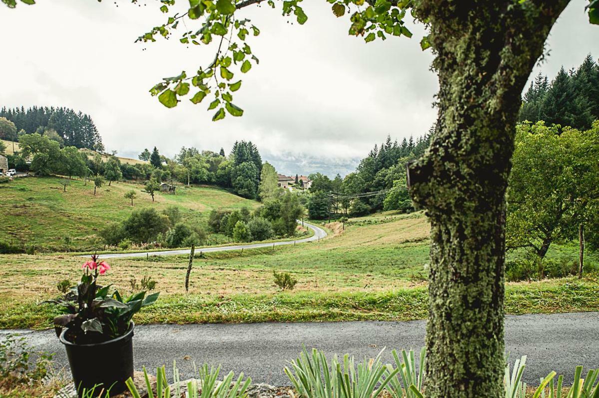 Gite " Oree Des Bois" Vertolaye Buitenkant foto
