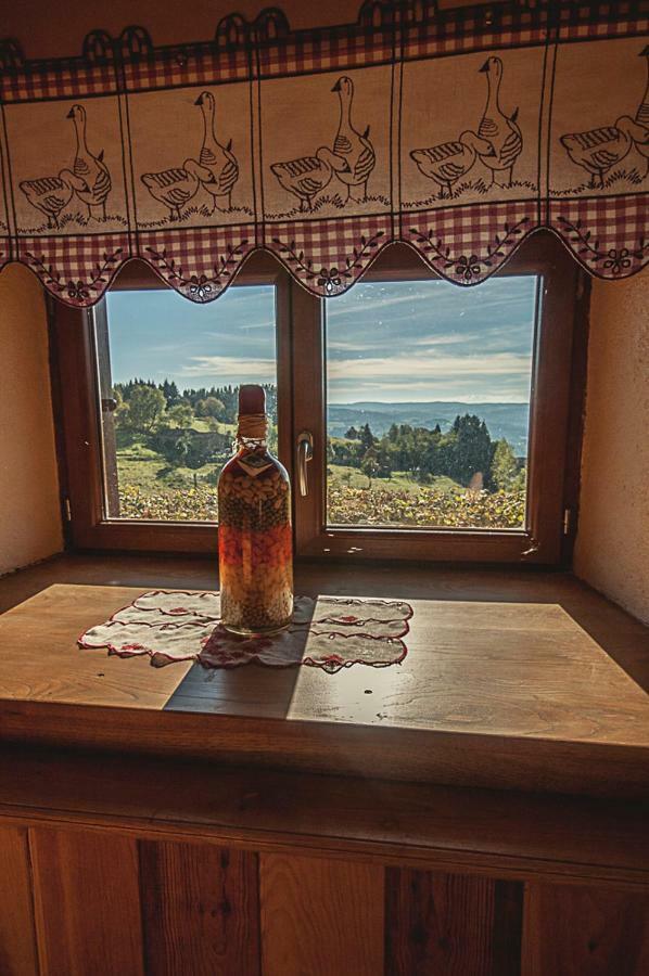 Gite " Oree Des Bois" Vertolaye Buitenkant foto